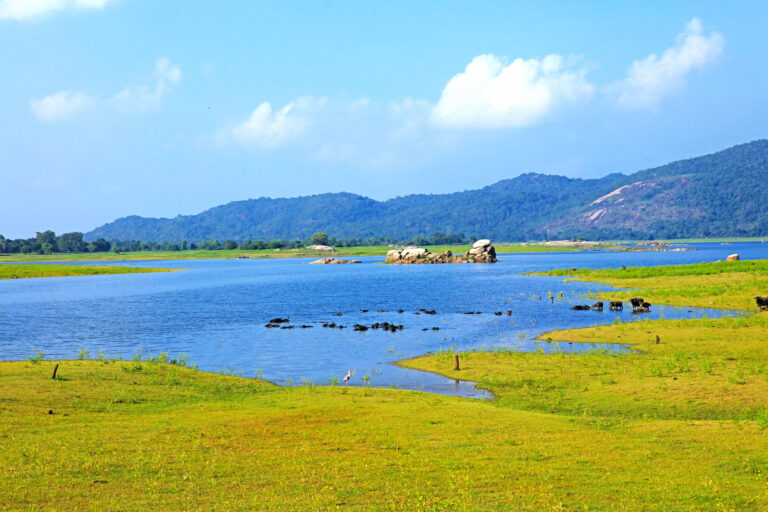 Ancient Hydraulic Engineering in Sri Lanka